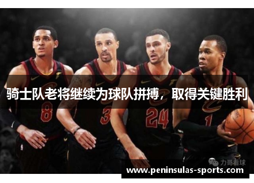 骑士队老将继续为球队拼搏，取得关键胜利