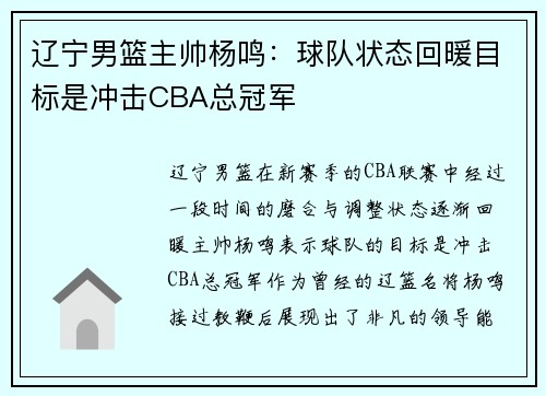 辽宁男篮主帅杨鸣：球队状态回暖目标是冲击CBA总冠军